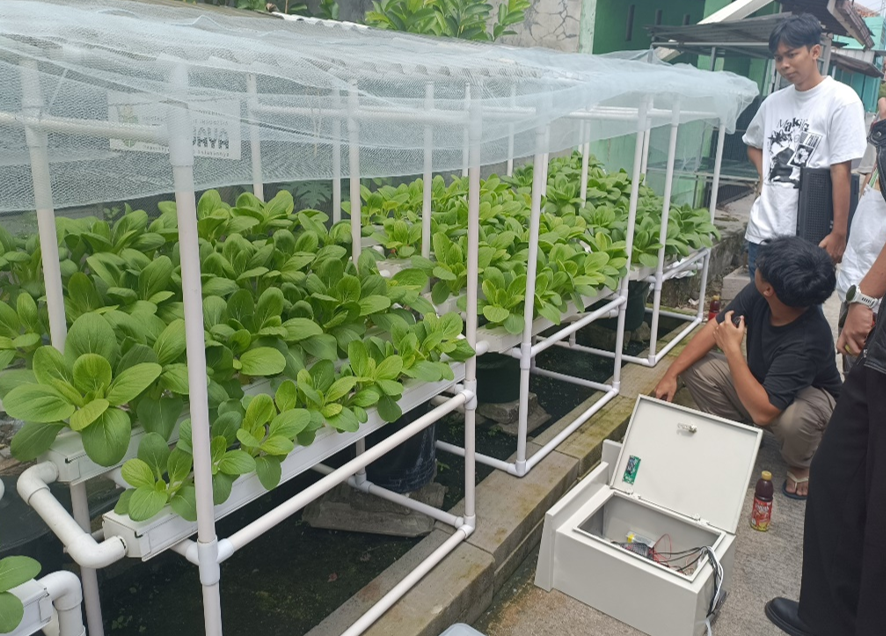 Foto Pemasangan Alat Internet of Things pada Perangkat Hidroponik